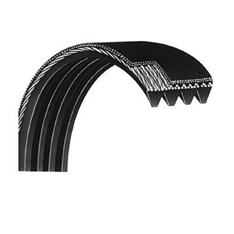 Lifespan E2i Elliptical Pulley Drive Belt 49 2000000571